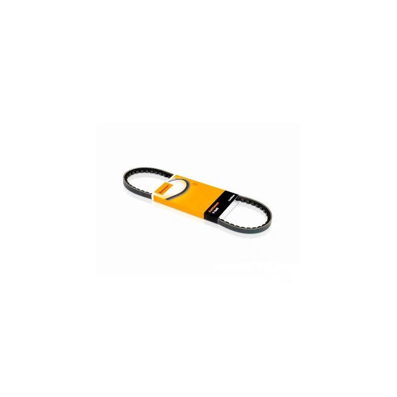 CORREIA 13x0900 - CONTITECH - 13x900