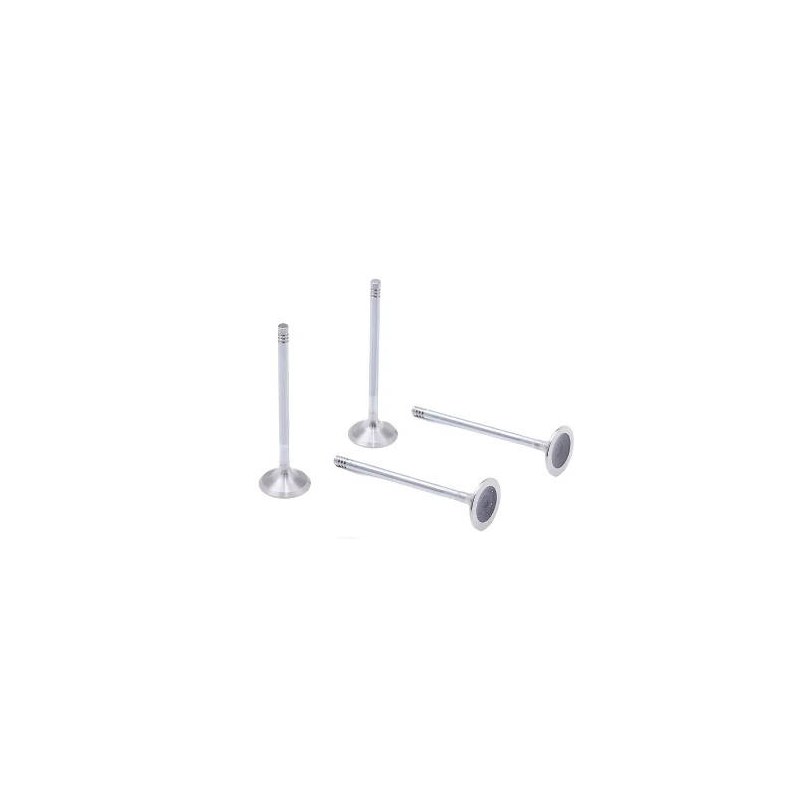 VALVULA MOTOR (ESCAPE) - RETIN - RE1139