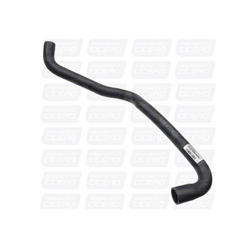 MANGOTE INFERIOR - JAMAICA - MM14024