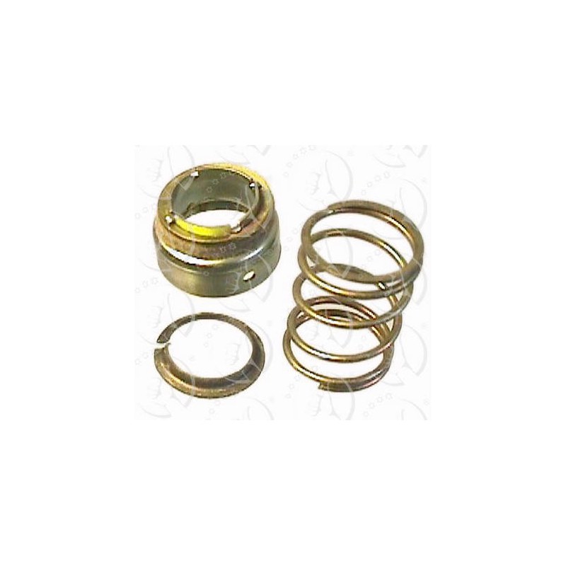 ROLAMENTO COLUNA - SCHUCK - 5018