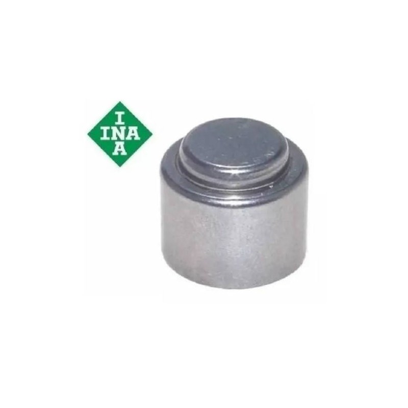 ROLETE ALTERNADOR - INA - F-45713